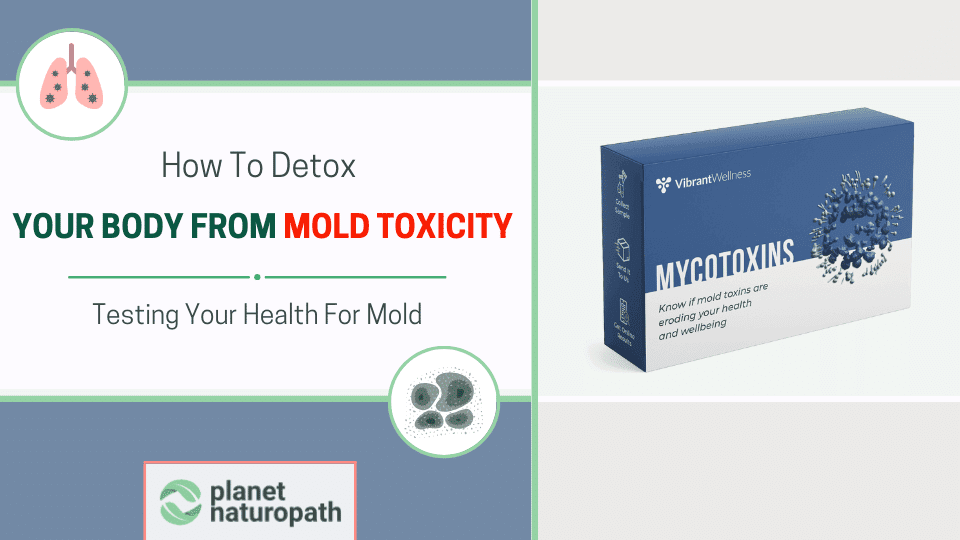 How To Detox Your Body From Mold Toxicity