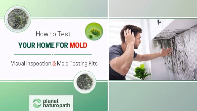 How To Test Your Home For Mold