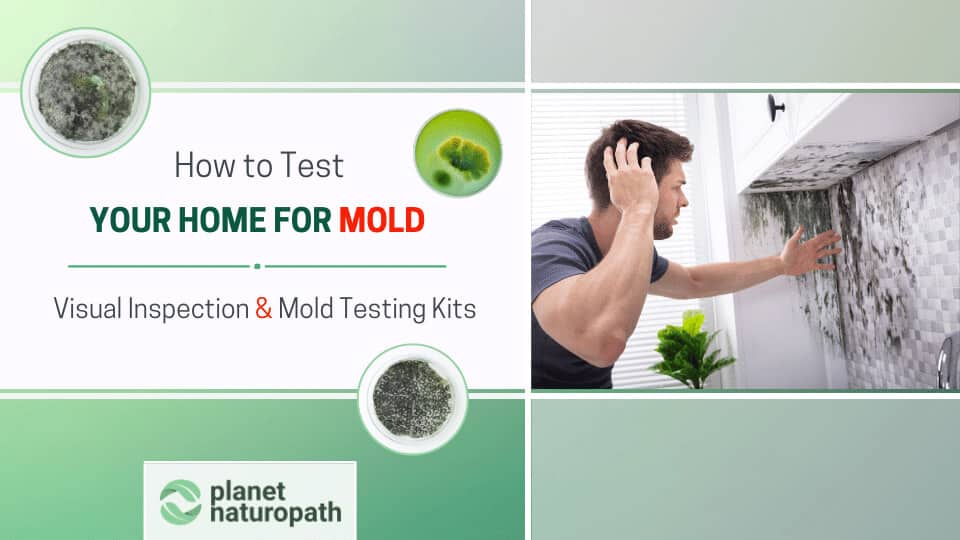 How To Test Your Home For Mold