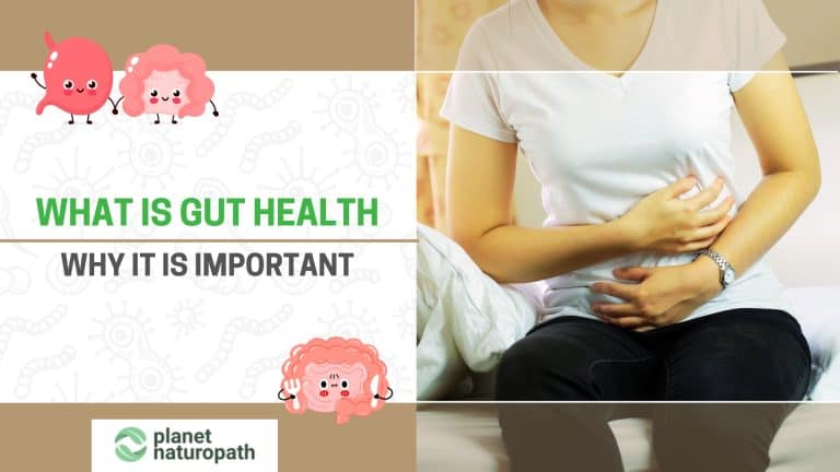 What is gut health featured image