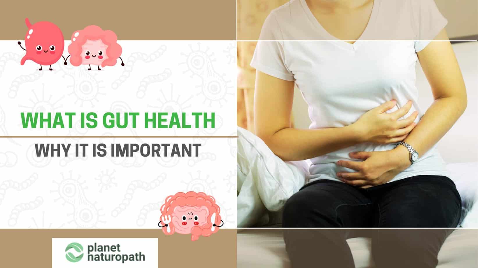 What is gut health featured image