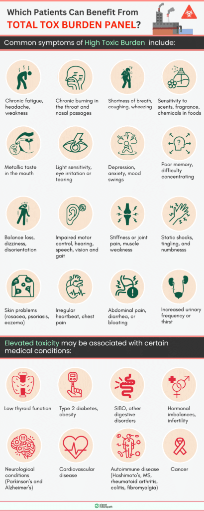 Vibrant Wellness Total Tox Burden Test Review 2