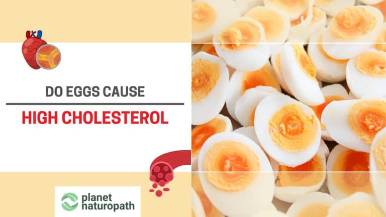Eggs Cause High Cholesterol featured image