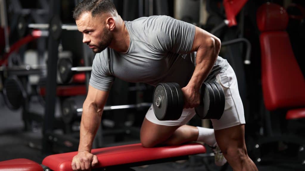 Energy Production B vitamins