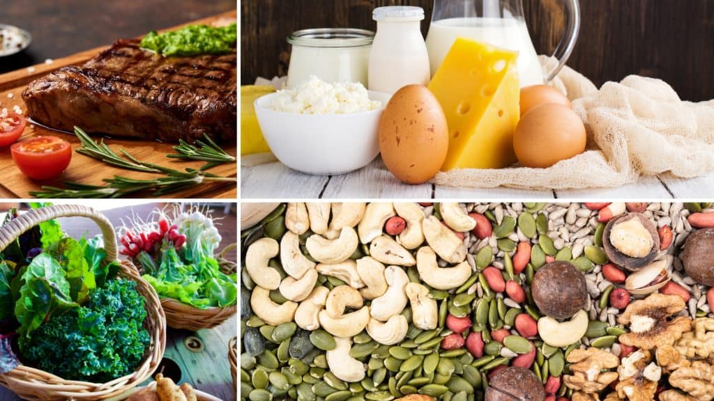 Food Sources Of B Vitamins