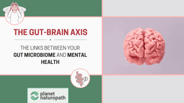 The Gut-Brain Connection