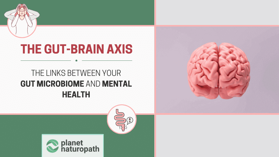 The Gut-Brain Connection