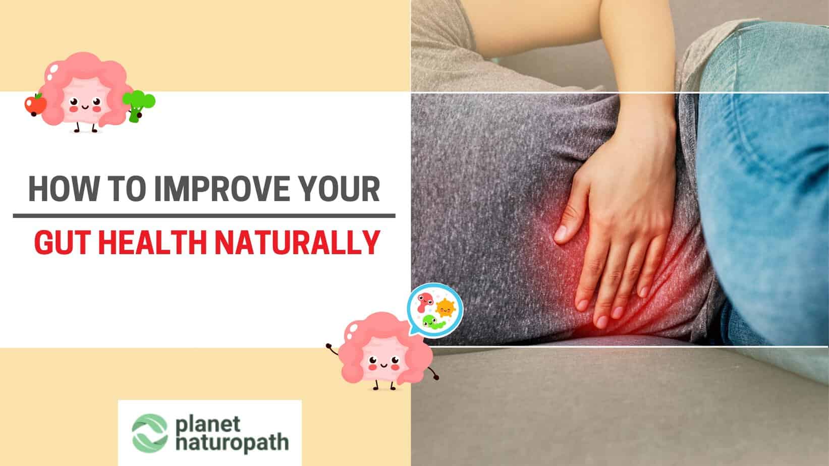 how to improve your gut health naturally featured image