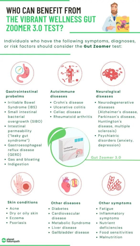 The Gut-Brain Connection And Its Impact On Mental Health 3