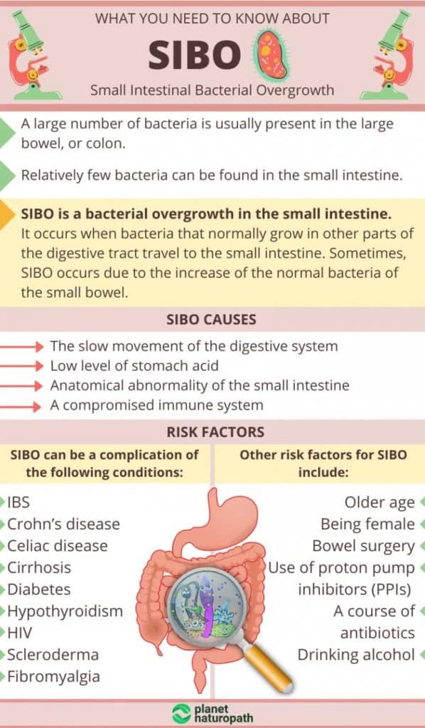 The Gut-Brain Connection And Its Impact On Mental Health 4