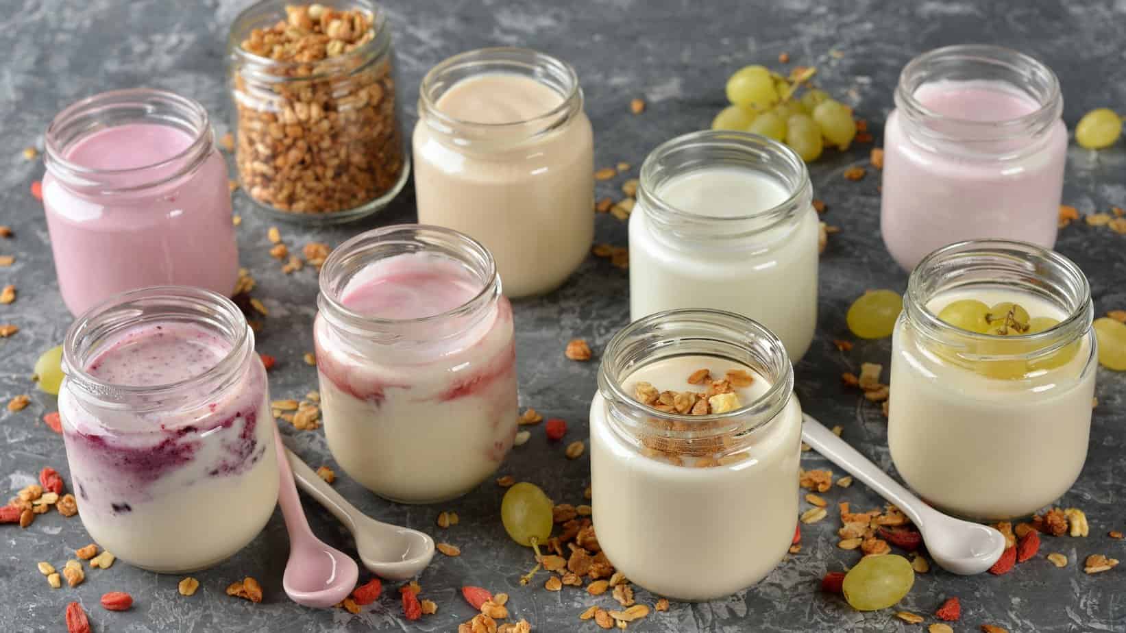 Eating yogurt Immune Support Eating yogurt Immune Support