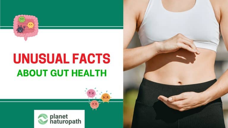 Unusual facts gut health featured image