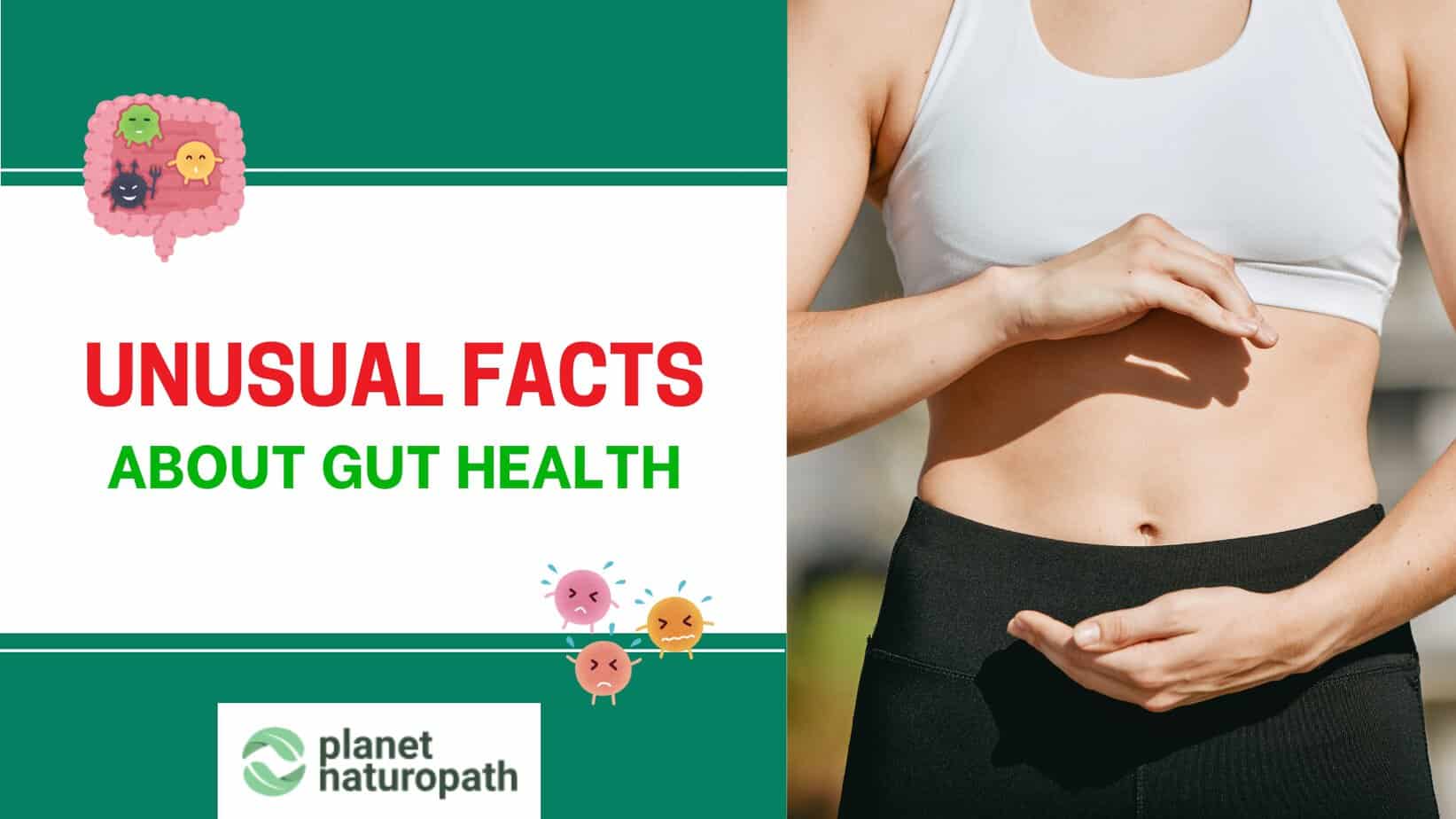 Unusual facts gut health featured image