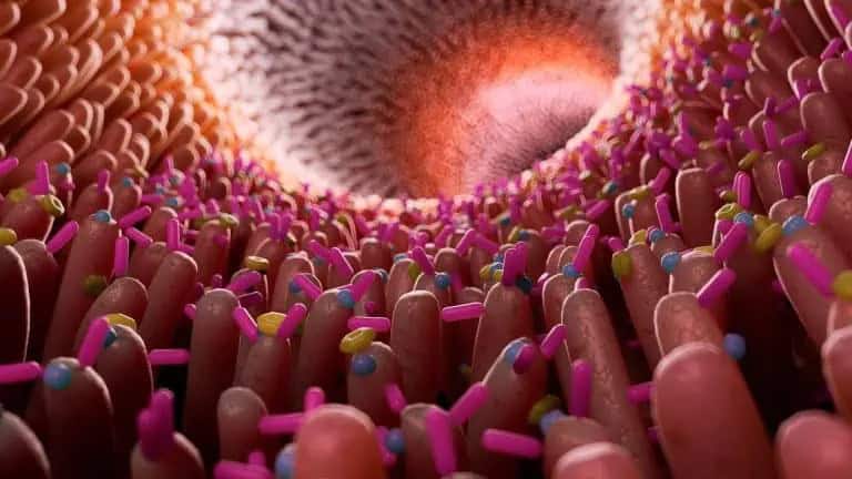 20 Unusual Facts About Gut Health 11