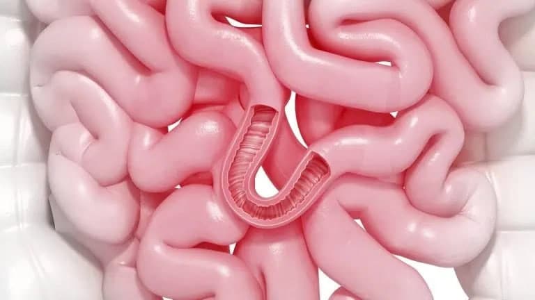 20 Unusual Facts About Gut Health 16