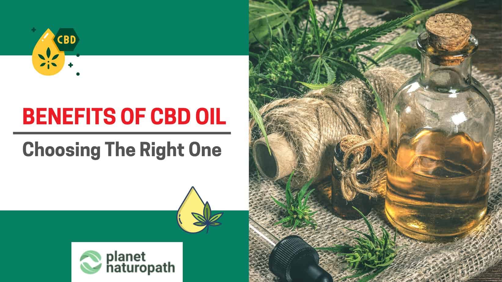 CBD Oil Benefits featured image