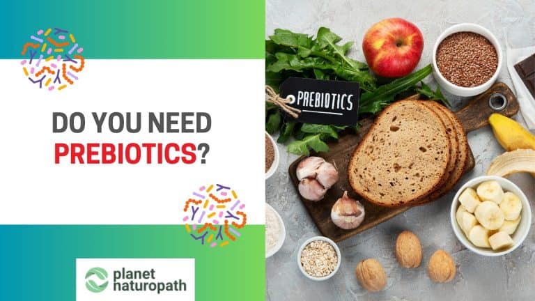 Need Prebiotics featured image