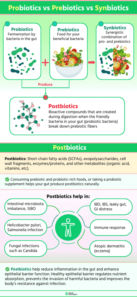 Probiotics Versus Prebiotics: Which Is Best For Your Health? 3