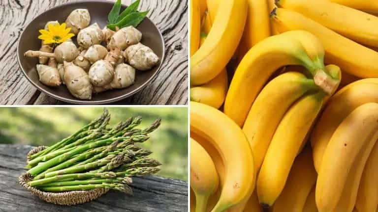 Do You Need Prebiotics? 4 Do You Need Prebiotics? 3
