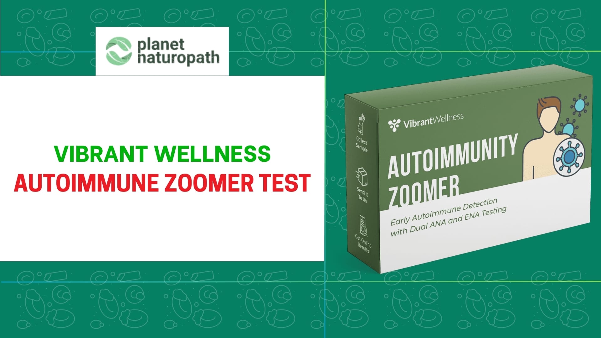 Autoimmune Zoomer Test featured image