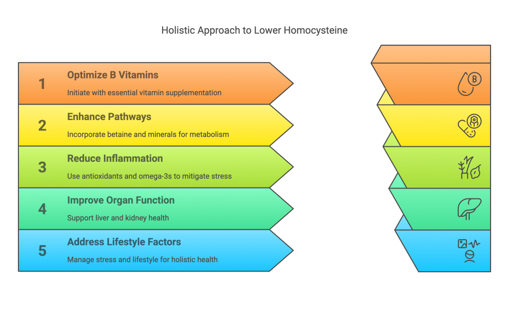 Homocysteine lower naturally