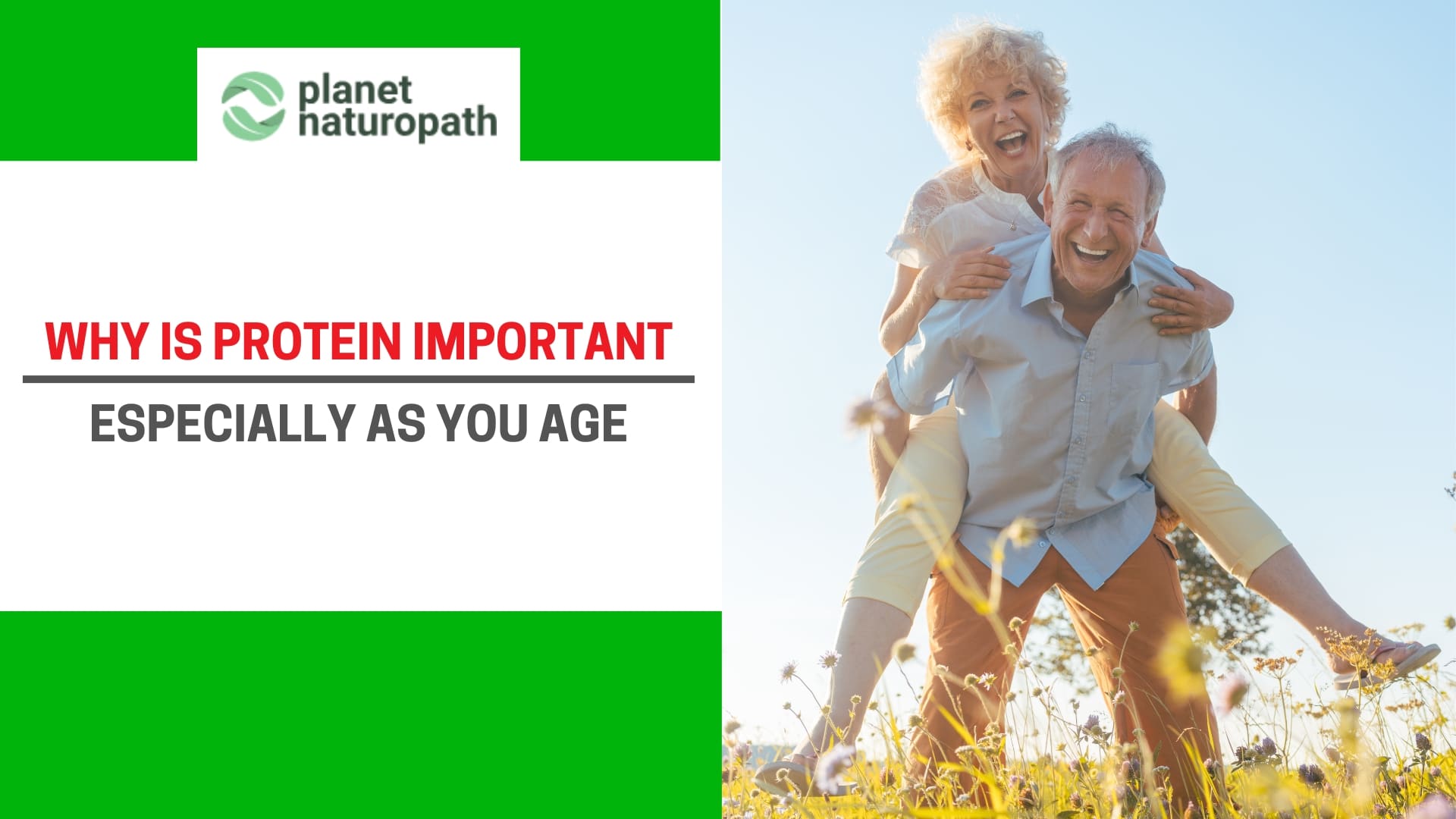 Why Is Protein Important featured image