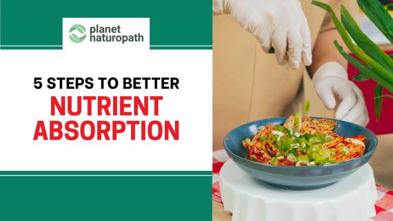 Nutrient Absorption featured image