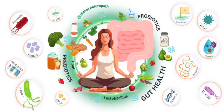 Gut Health Pillar page featured image