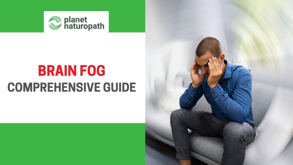 Brain Fog Guide featured image