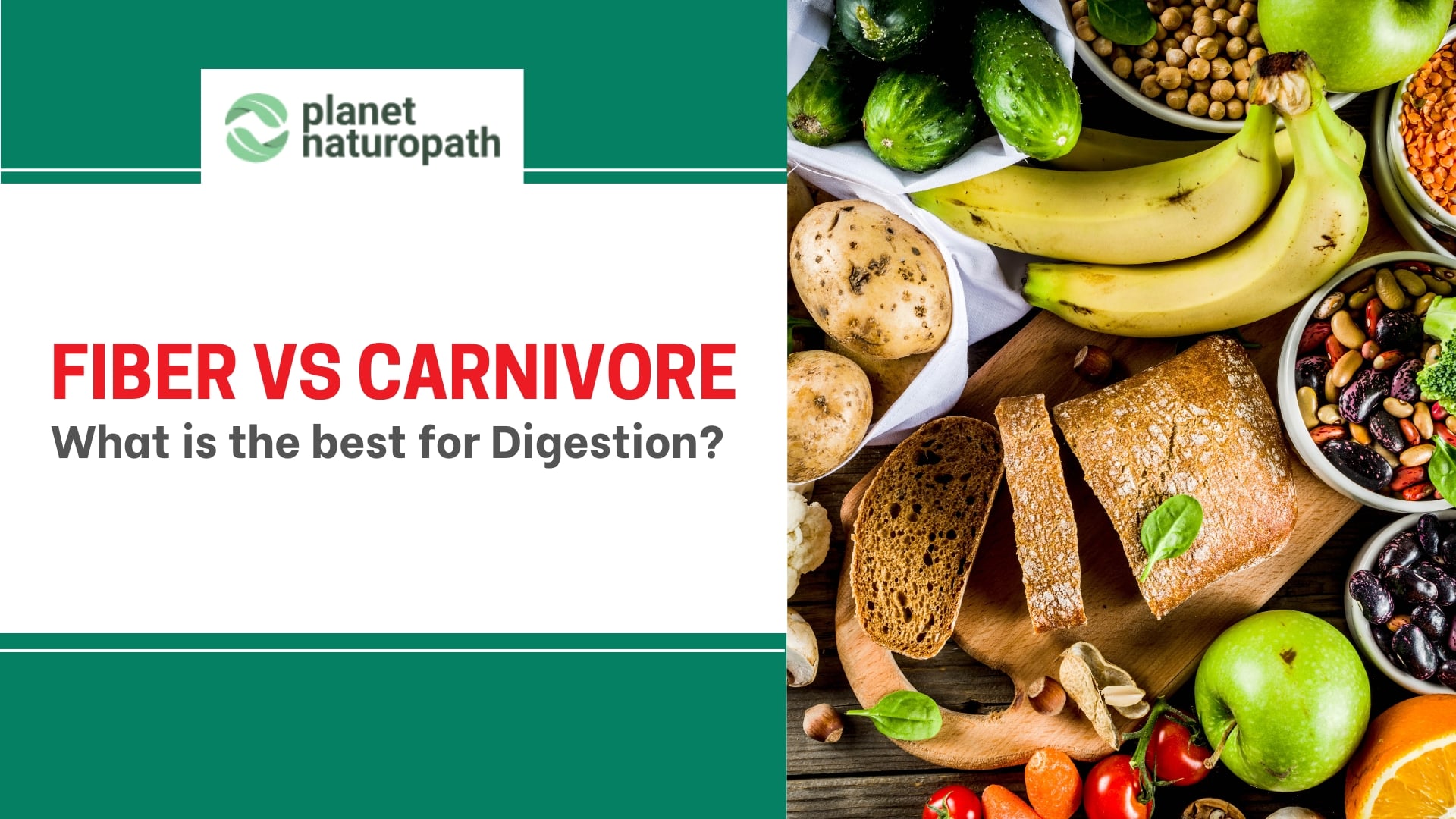 Fiber vs Carnivore: What is the best for Digestion? 1 Fiber vs Carnivore featured image