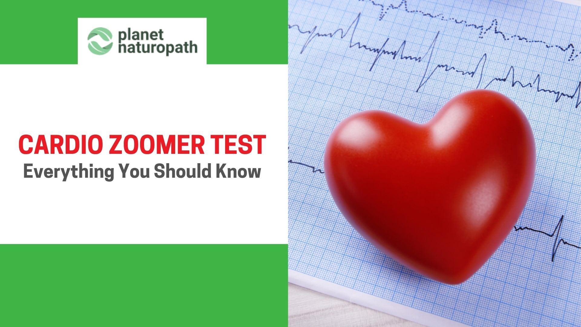 Cardio Zoomer Test featured image