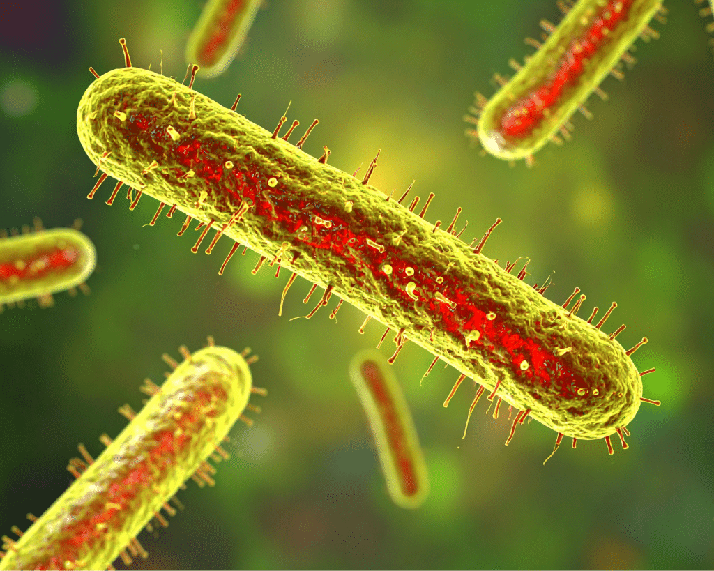 Pathogens & Parasites